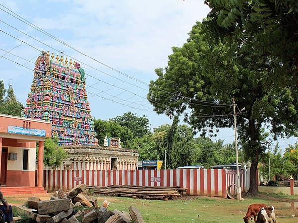 നവാബിന്റെ കഥയിങ്ങനെ