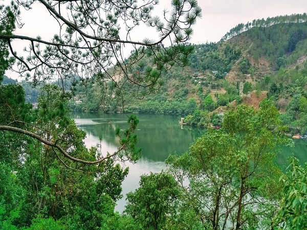 കാല്സി, ഡെറാഡൂണ്