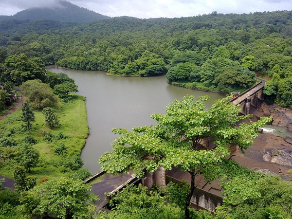 പച്ചപ്പ്