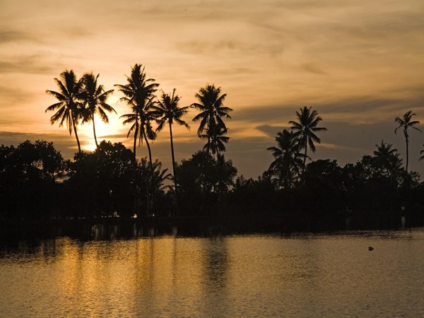 കാട്ടില് താമസിക്കാം