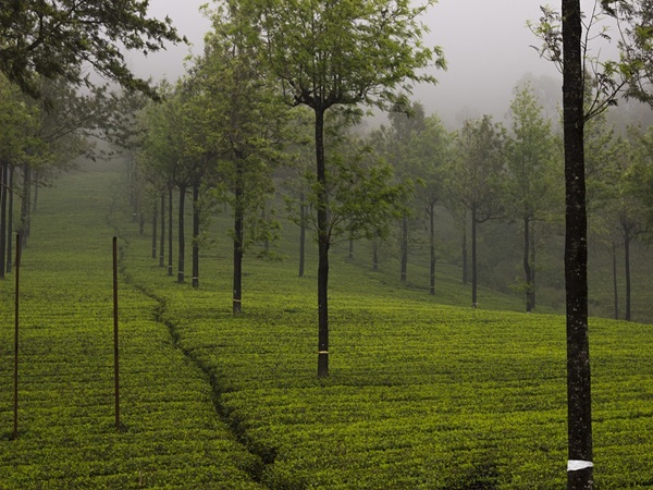 ചിത്തിരപുരം