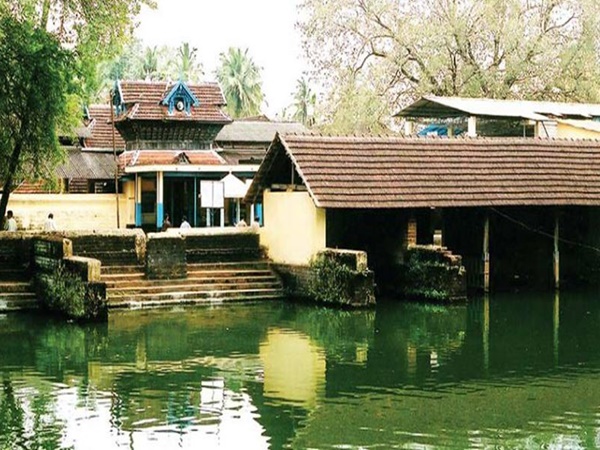 ചെര്പ്പുളശ്ശേരി അയ്യപ്പന് കാവ്