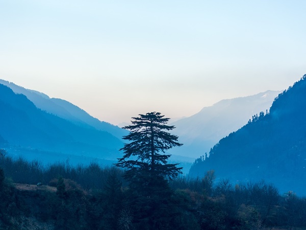 കുലന്ത് വാലി