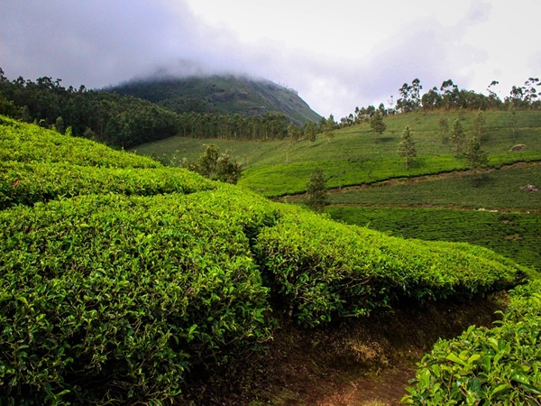 ബാക്കിയായ അടയാളങ്ങള്