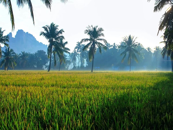 കര്ണ്ണാടകയുടെ കാശ്മീര്