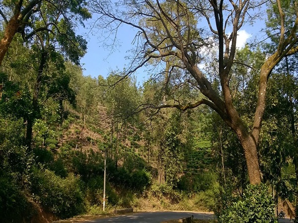 എത്തിച്ചേരുവാന്