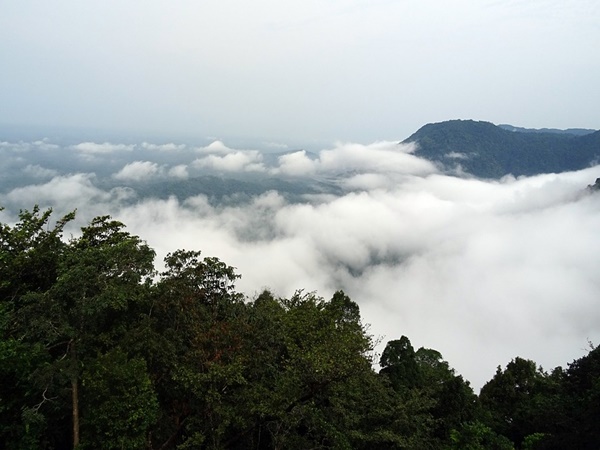 തുംഗാ നദി