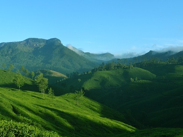 മൂന്നാര്