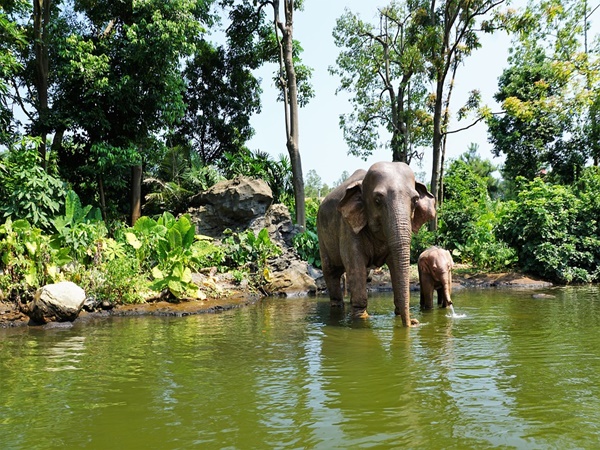സീസണ് ഒഴിവാക്കാം