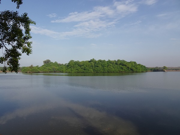 ദിവാര് ദ്വീപ്