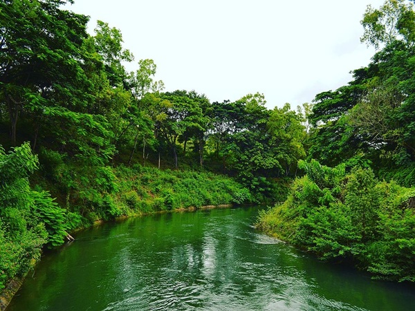 coorg coorg