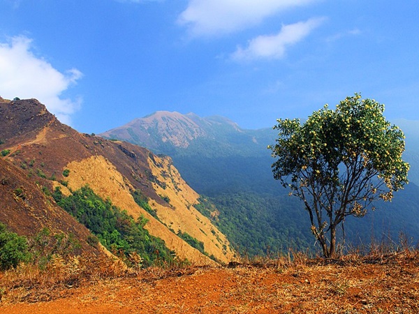 കണ്ണൂര്-കുടജാദ്രി