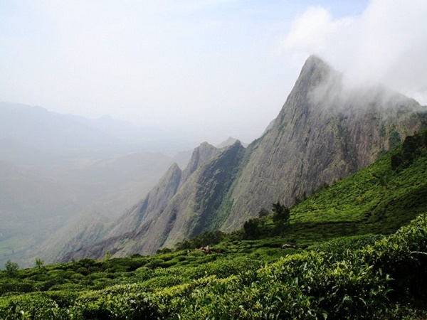 പകലിലും മനോഹരമായ രാവുകള്