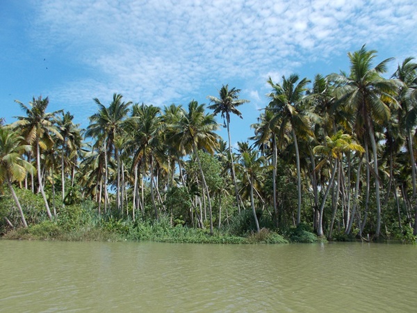 പൂവാര്