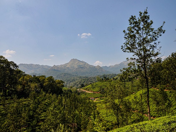 ജഡയറ്റ കാവ്