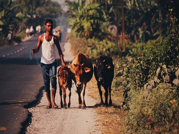 yelegaon gawali yelegaon gawali