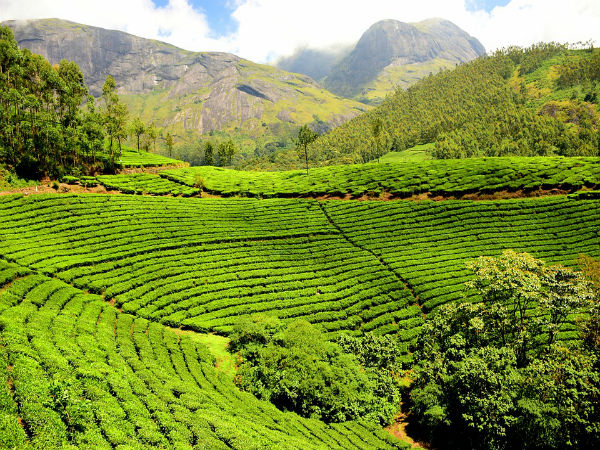 മേഘമലൈ, തമിഴ്നാട്