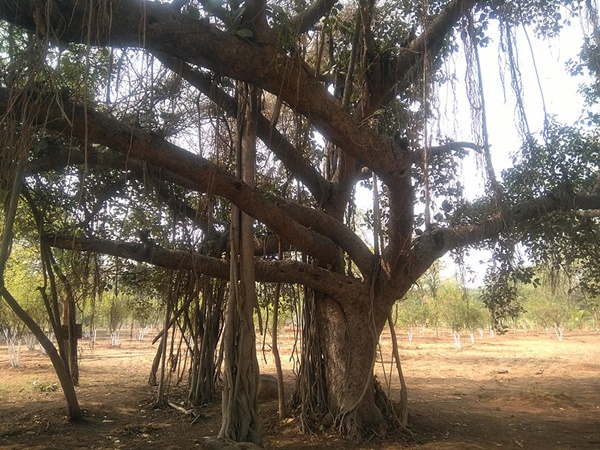 അര്ബന് ബാംഗ്ലൂര്