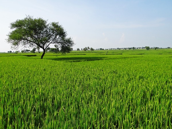 സന്ദര്ശിക്കുവാന് പറ്റിയ സമയം