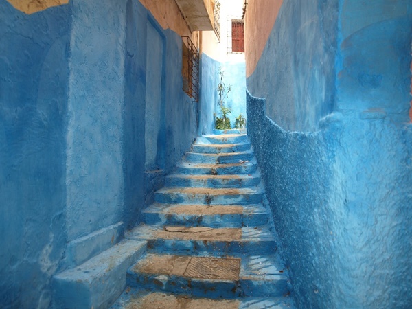 നീലവന്ന വഴി