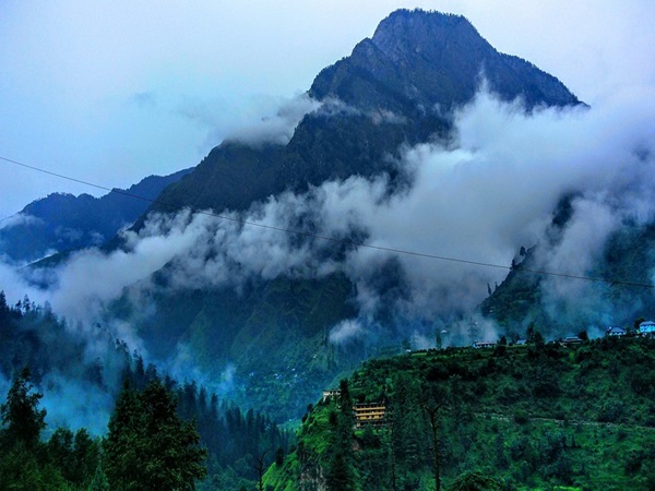 ഫാഗു