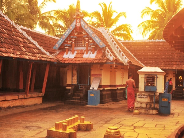 യാഗത്തിനുള്ള സോമലതയും മാന്തോലും