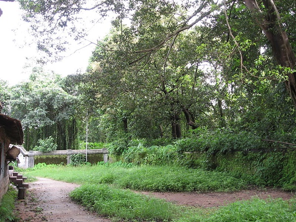 ചിതയൊരുക്കുന്ന തെക്കേക്കാവ്
