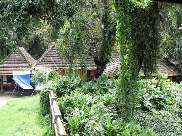 സര്പ്പദോഷങ്ങള്ക്ക് പരിഹാരം