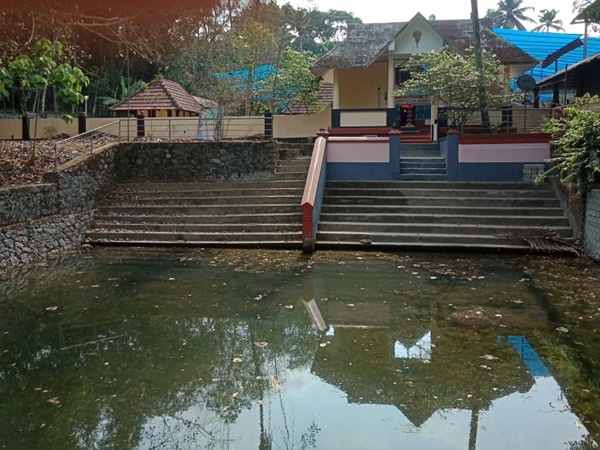 ക്ഷേത്രക്കുളത്തിലെ ആമ