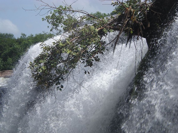 വിലക്ക് തുടരുന്നു