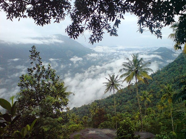 തുമ്പച്ചിമല