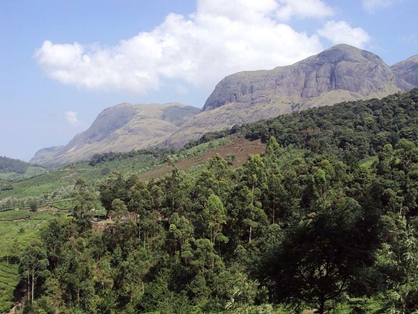 anamudi anamudi