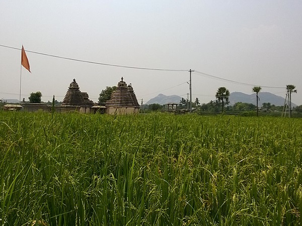 ക്ഷേത്രസമയം