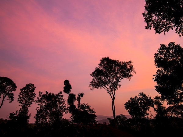 കൂര്ഗ്