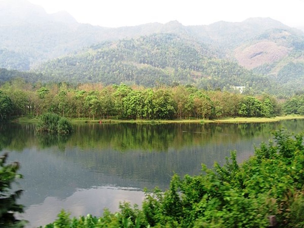 കാഞ്ഞാര് റിവര് വ്യൂ, തേക്കിന്തോട്ടം