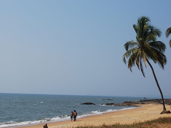 ബ്ലൂ ഫ്ലാഗ്
