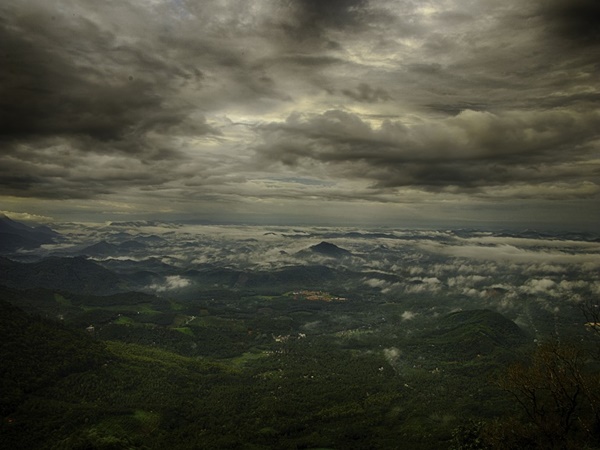 എറണാകുളം