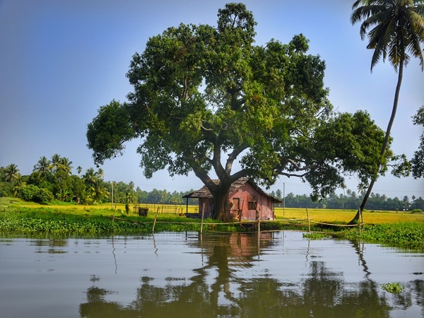 ആറു മാസത്തിനു ശേഷം