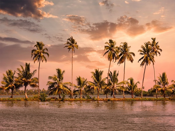കോട്ടയം