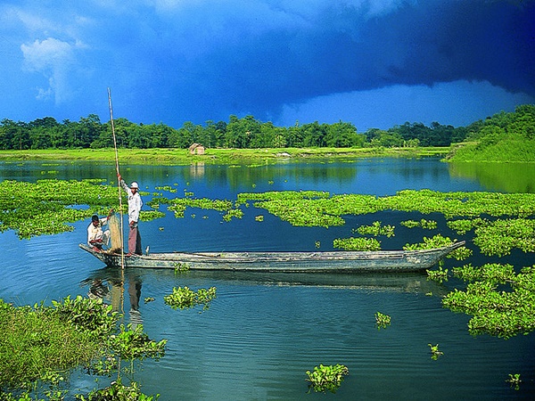 മജൂലി