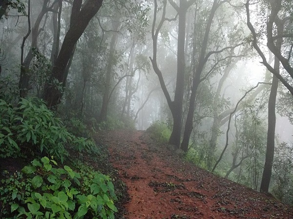 മഴക്കാലമല്ലേ!!