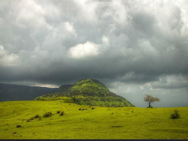 വാഹനങ്ങള്ക്കു വിലക്ക്