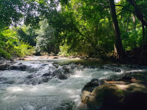 njandukuzhifalls njandukuzhifalls