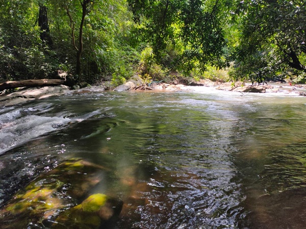 njandukuzhifalls1 njandukuzhifalls1