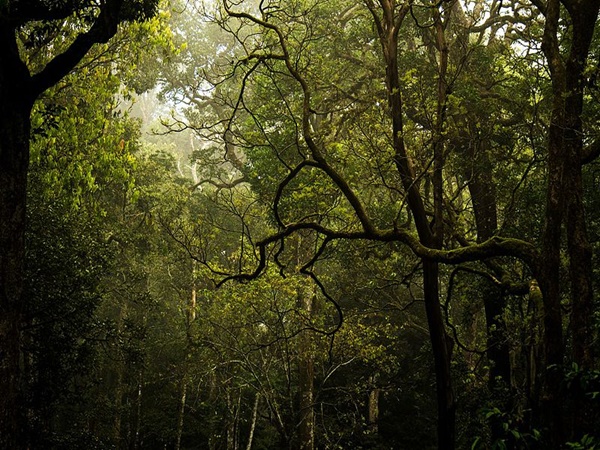 പ്രവേശനം ഇങ്ങനെ