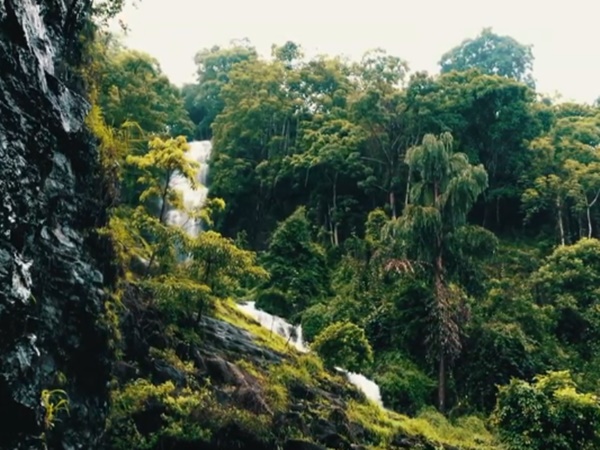 പെരിന്തല്മണ്ണയ്ക്കടുത്ത്