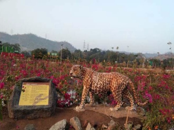 വന്യജീവികള്