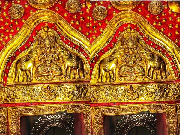 പ്ലാവിൻ തടിയാണെന്നു തെറ്റിദ്ധരിച്ചു