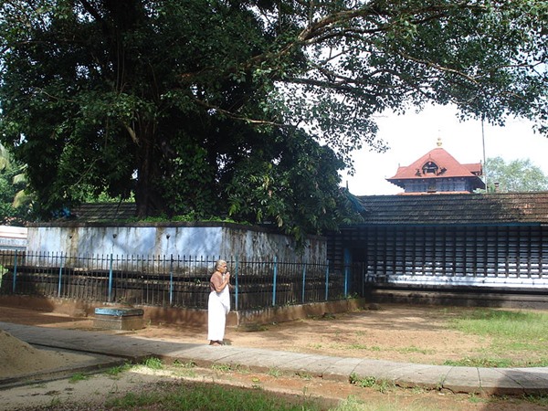 എല്ലാം സാക്ഷി ദുര്ഗ്ഗാ ദേവി