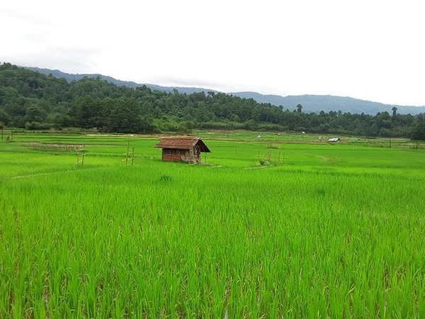 യുനസ്കോയില്